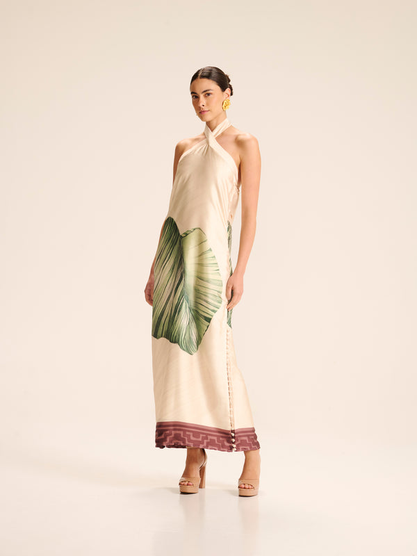 GORGONIA DRESS